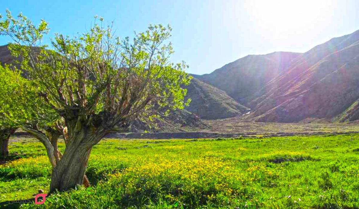 دشت های ایران | عکس و آدرس ۱۰ دشت زیبا و وسیع برای طبیعتگردی